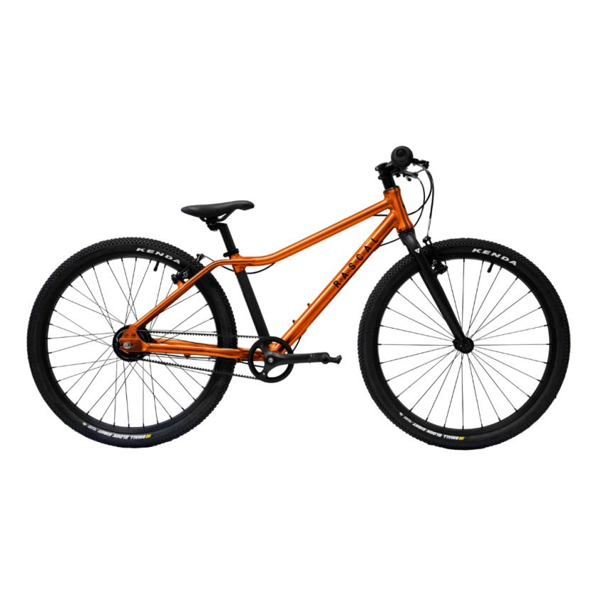 RASCAL BIKES - 24" Flame 5sp SA