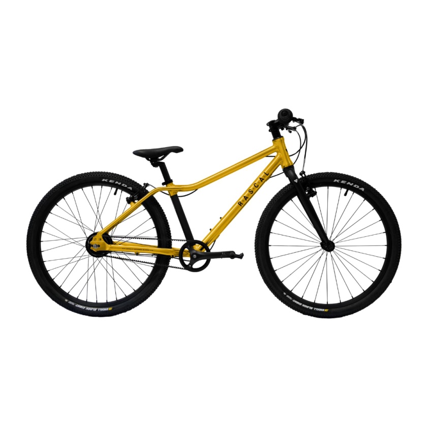 RASCAL BIKES - 24" zlatá (5-rýchlostný)